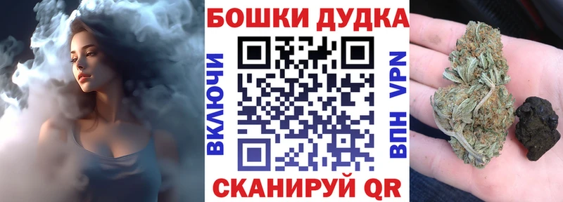 где продают наркотики  Гороховец  Бошки марихуана ГИДРОПОН 